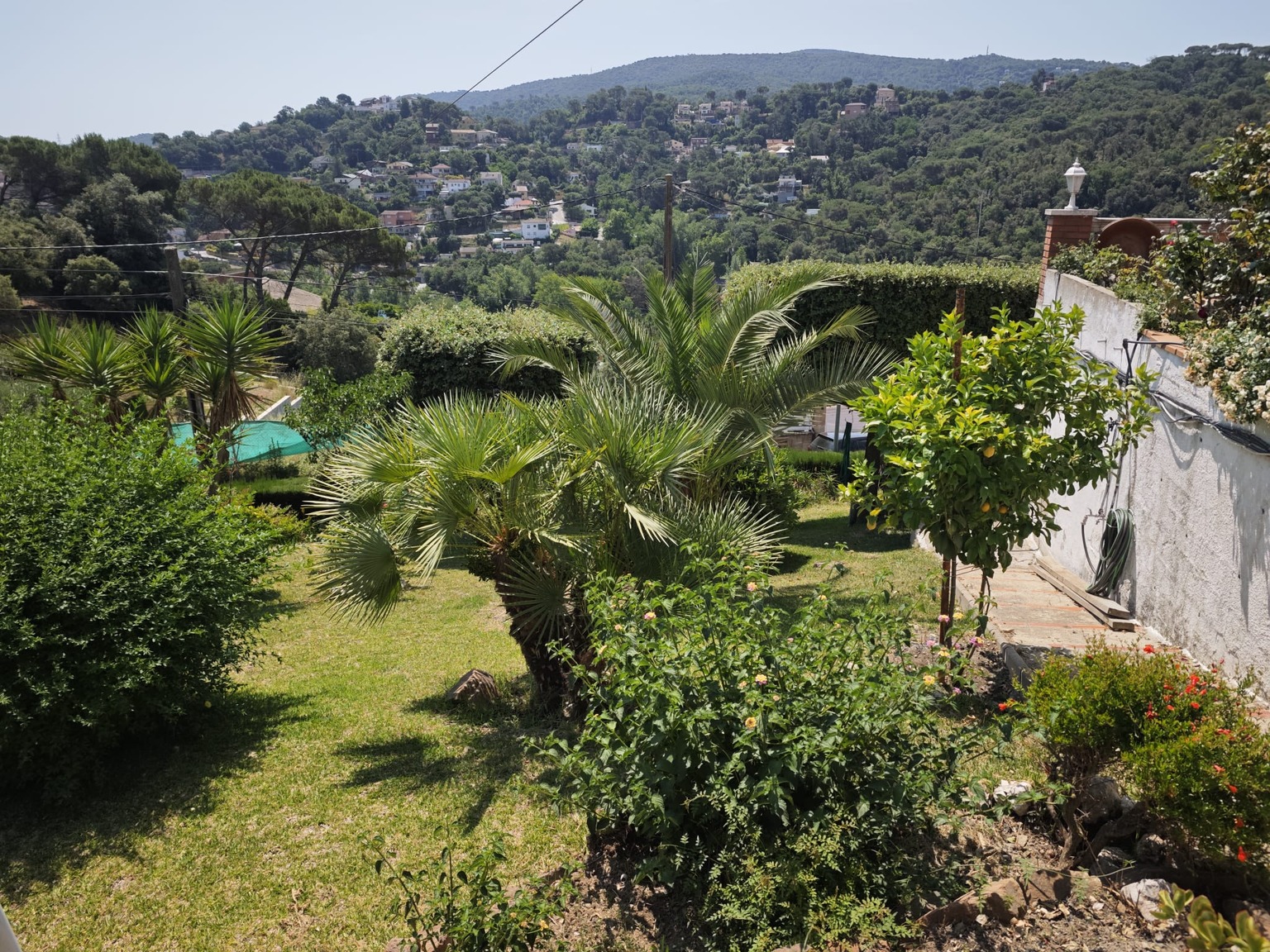 Terreny En venda en Can Bosc Barcelona