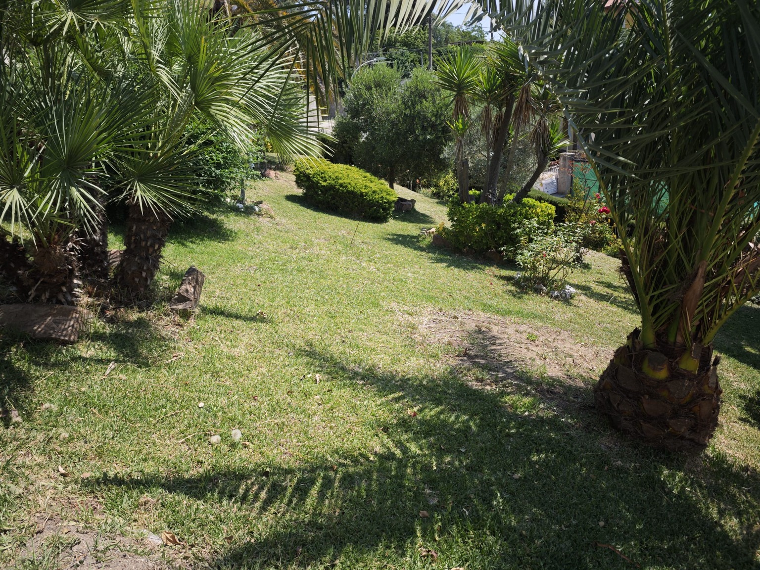 Terreny En venda en Can Bosc Barcelona