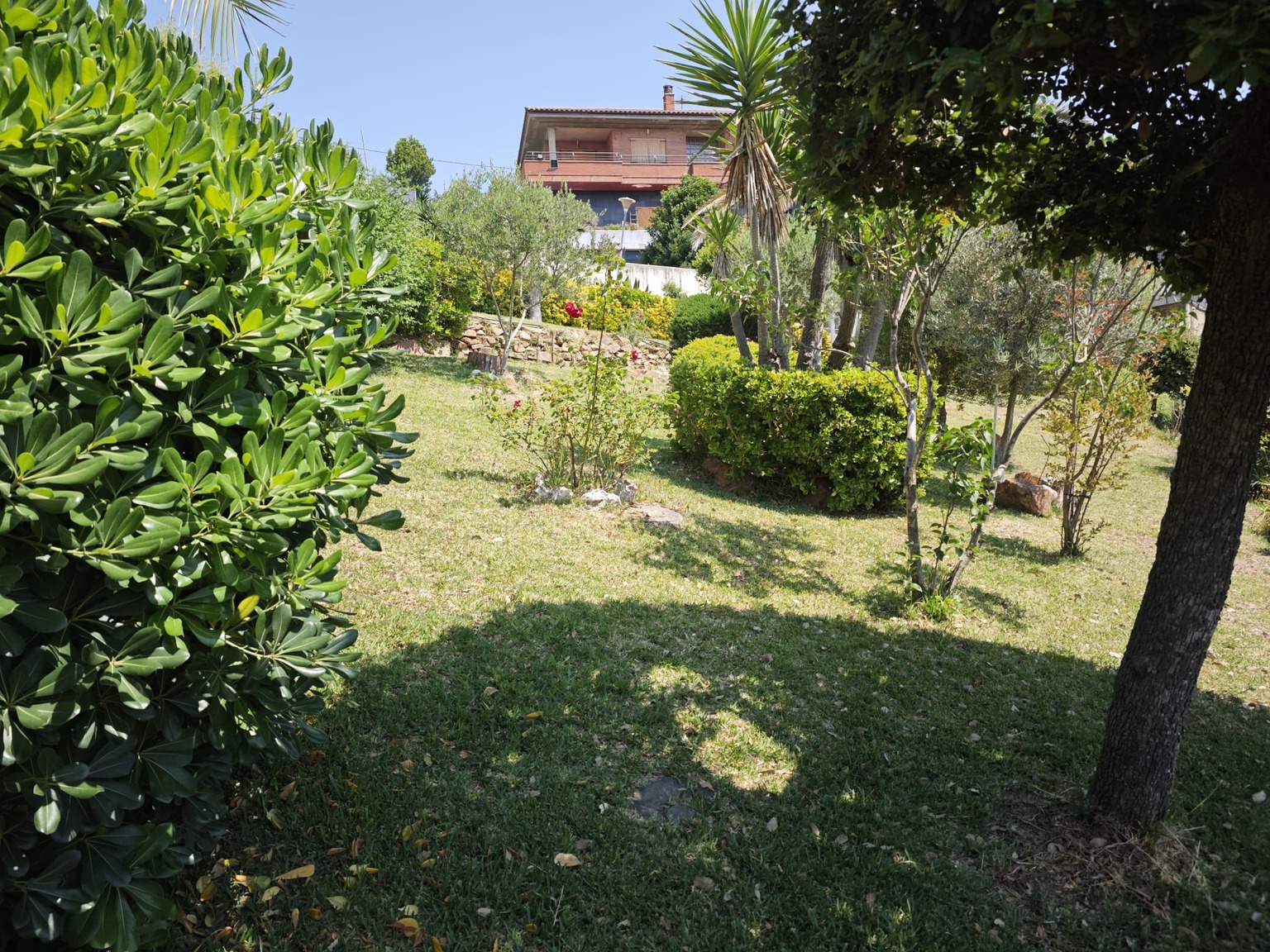 Terreny En venda en Can Bosc Barcelona